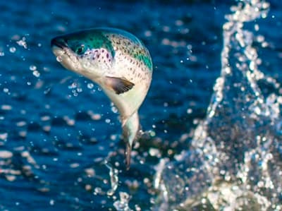 6 Ways for Extroverts (and everyone else) to Promote Their Book