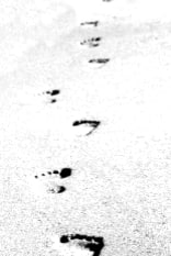 What Gives a Novel Atmosphere?