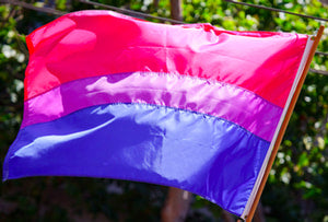 Books With Bisexual Characters