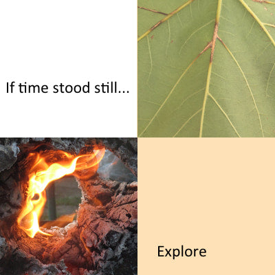 If Time Stood Still (Writing Prompts)