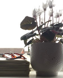 What "We're Editing Your Book" Really Means