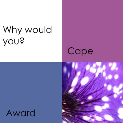 Why would you? (Writing Prompts)