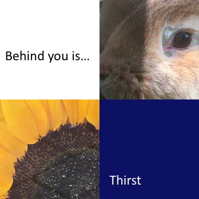 Behind You Is… (Writing Prompts)