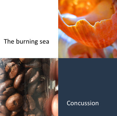 The Burning Sea (Writing Prompts)