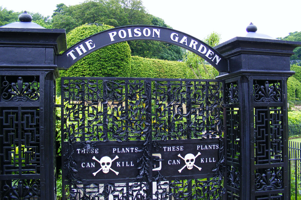 The Alnwick Poison Garden by Jane Canaway